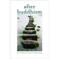 After Buddhism: Rethinking the Dharma for a Secular Age - Paperback
