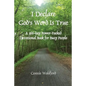I Declare God's Word Is True: A 366-day Power-Packed Devotional Book for Busy People - Paperback