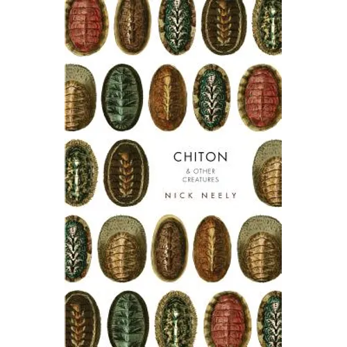 Chiton & Other Creatures - Paperback