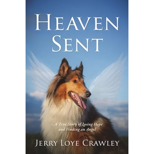 Heaven Sent: A True Story of Losing Hope and Finding an Angel - Paperback