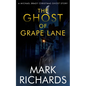 The Ghost of Grape Lane: A Detective Michael Brady Crime Thriller - Paperback