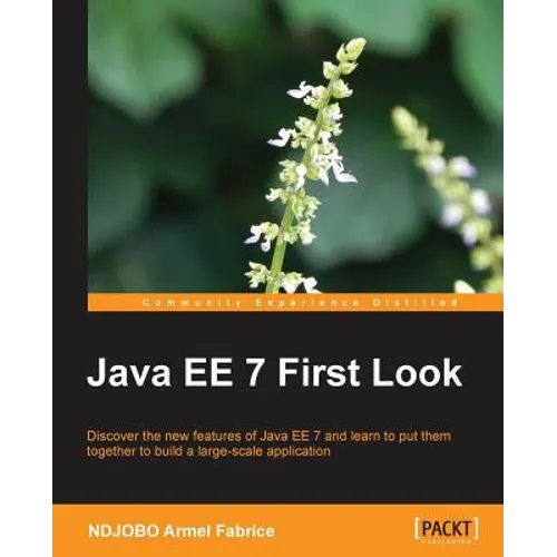 Java Ee 7 First Look - Paperback