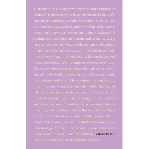 Lesbian Death: Desire and Danger Between Feminist and Queer - Paperback
