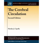 The Cerebral Circulation - Paperback