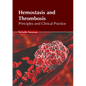 Hemostasis and Thrombosis: Principles and Clinical Practice - Hardcover