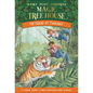 Tigers at Twilight - Hardcover