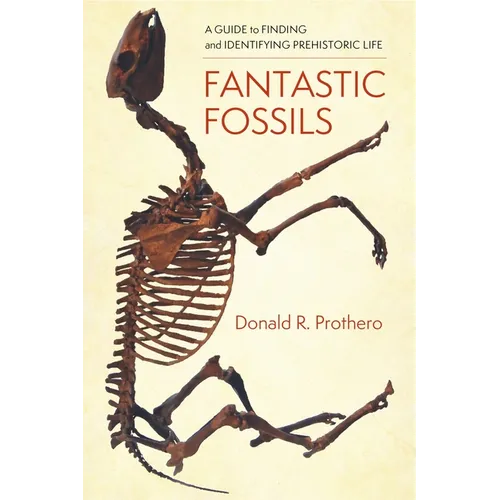 Fantastic Fossils: A Guide to Finding and Identifying Prehistoric Life - Paperback