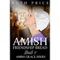 Amish Friendship Bread Book 1 - Paperback