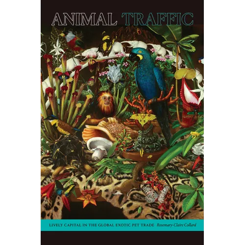 Animal Traffic: Lively Capital in the Global Exotic Pet Trade - Paperback