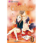 Sand Chronicles, Vol. 3 - Paperback