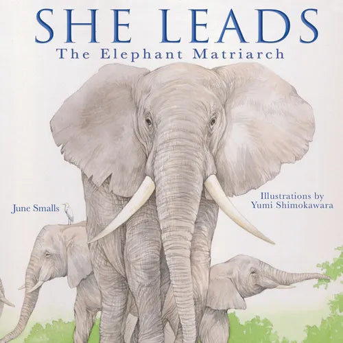 She Leads: The Elephant Matriarch - Hardcover