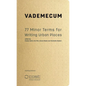 Vademecum: 77 Minor Terms for Writing Urban Places - Paperback
