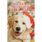 Dog Who Came to Christmas - Hardcover