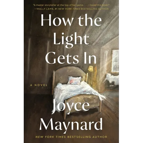 How the Light Gets in - Paperback