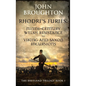 Rhodri's Furies: Ninth-century Welsh Resistance to Viking and Saxon incursions - Hardcover