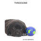 Threesome - Paperback