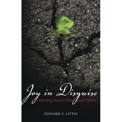 Joy in Disguise: Meeting Jesus in the Dark Times - Paperback
