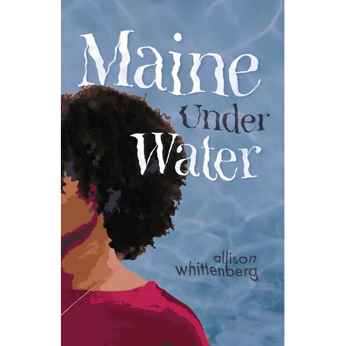 Maine Under Water - Paperback