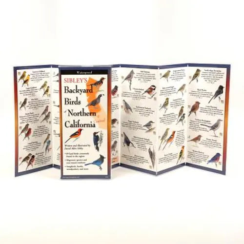 Sibley's Back. Birds of Northern California
