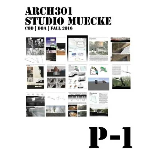 P1: Project 1, ARCH301 Studio Muecke - Paperback