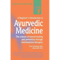 A Beginners Introduction to Ay - Paperback