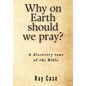 Why on Earth Should We Pray? - Paperback