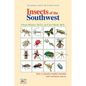 Insects of the Southwest: How to Identify Helpful, Harmful, and Venomous Insects - Paperback