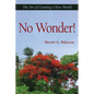 No Wonder!: The Art of Creating a New World - Paperback