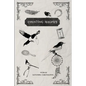 Counting Magpies: Counting Magpies is Alexandra's second anthology. It is based on, 'One for Sorrow', the popular children's nursery rhy - Paperback