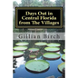 Days Out in Central Florida from The Villages: 15 places to visit and things to do near The Villages, Florida - Paperback
