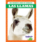 Las Llamas (Llamas) - Paperback
