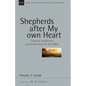 Shepherds After My Own Heart: Pastoral Traditions and Leadership in the Bible Volume 20 - Paperback