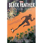 Black Panther: The Young Prince - Paperback