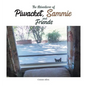 The Adventures of Piwacket, Sammie and Friends - Hardcover
