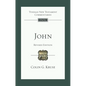 John (Revised Edition): Tyndale New Testament Commentary - Paperback