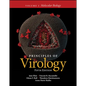 Principles of Virology, Volume 1: Molecular Biology - Paperback