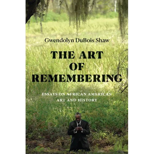 The Art of Remembering: Essays on African American Art and History - Paperback