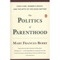 The Politics of Parenthood: Child Care, Women's Rights, and the Myth of the Good Mother - Paperback