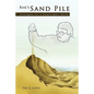 Bak's Sand Pile: Strategies for a Catastrophic World - Paperback