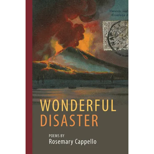 Wonderful Disaster - Paperback