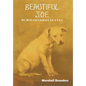 Beautiful Joe - Hardcover