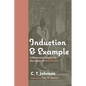 Induction and Example: A Rhetorical Exegesis in the Letter of Galatians - Paperback