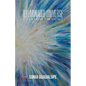 Illuminated Universe: A View from The Source - Paperback
