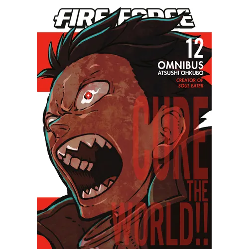 Fire Force Omnibus 12 (Vol. 33-34) - Paperback