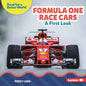 Formula One Race Cars: A First Look - Library Binding