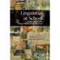 Linguistics at School: Language Awareness in Primary and Secondary Education - Paperback
