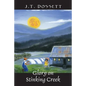 Glory on Stinking Creek - Paperback