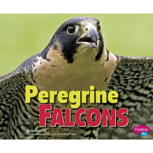 Peregrine Falcons - Paperback