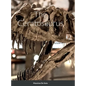 The Ceratosaurus (Hardcover Edition) - Hardcover