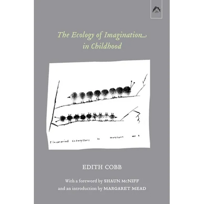The Ecology of Imagination in Childhood - Paperback